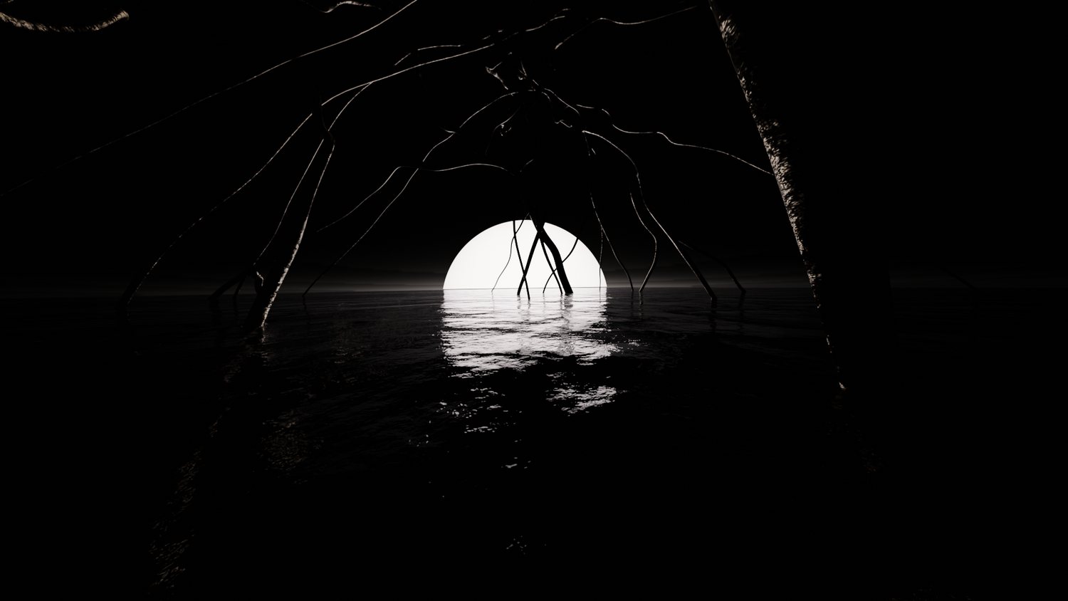 Mangrove roots silhouetted against a large rising moon reflected across still water